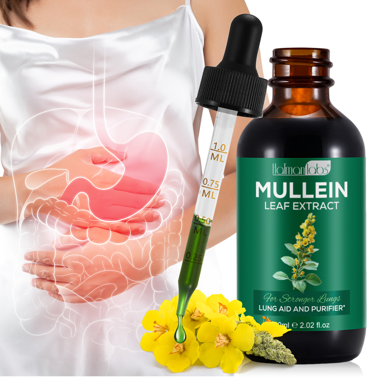 Private Label 100% Organic Supplements 60ml Mullein Leaf Extract Liquid Drops for Lungs