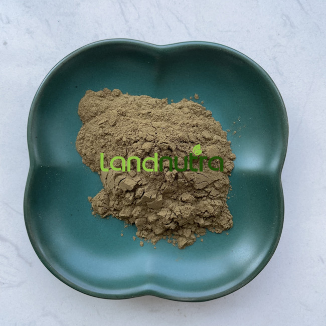 Oliver leaf extract
