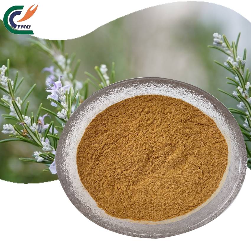 Pure Natural Rosemary Extract Anti Inflammatory Anti Aging Cosmetic Ingredient Food Grade Direct