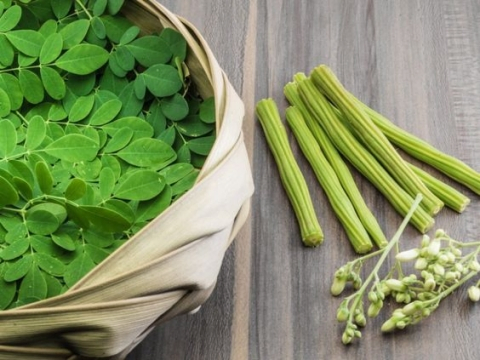 Natural Moringa Leaf Extract Powder - Antioxidant Plant-Based Ingredient for Health &amp; Nutrition