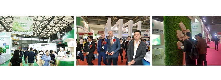 Exhibition Show