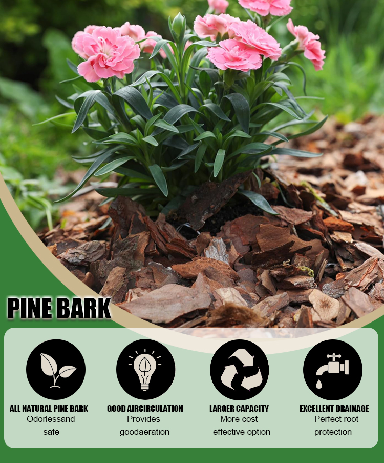 Pine Bark Details