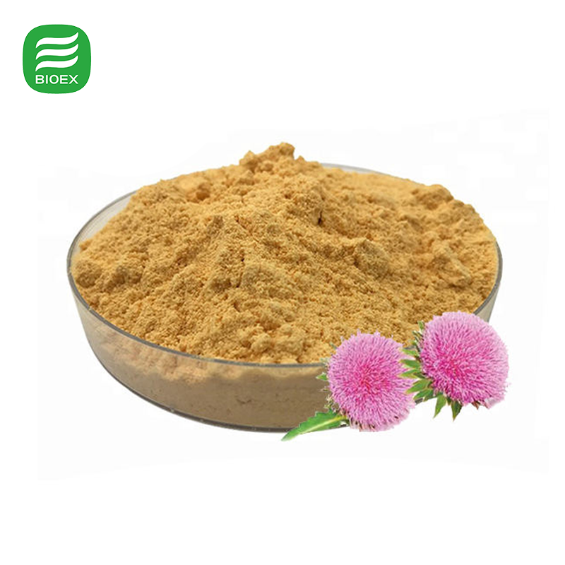 Silymarin Powder Detail
