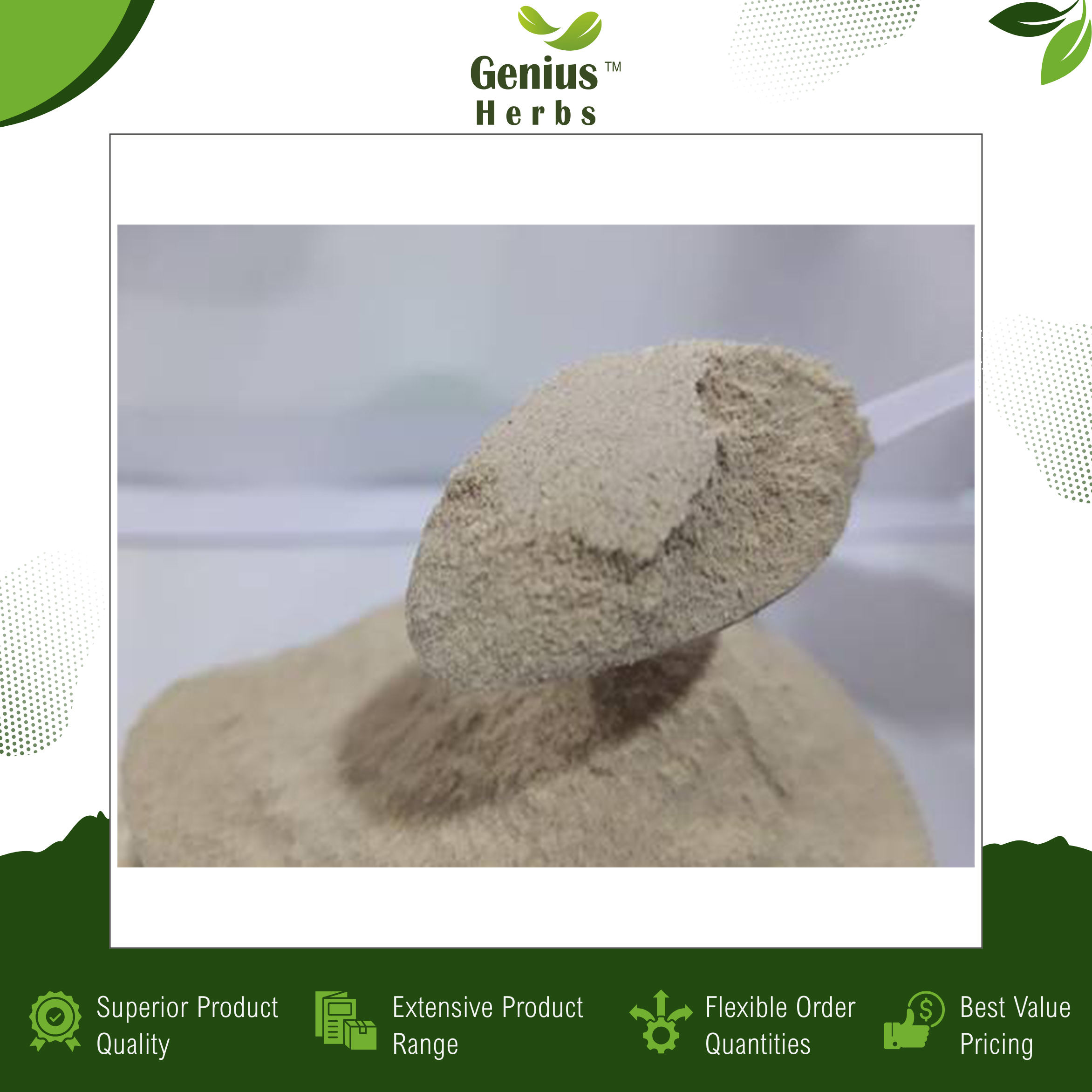 Standardized Ashwagandha Root Extract Powder 2.5 Percent Withanolides Organic Natural Supplement Bulk Private Label