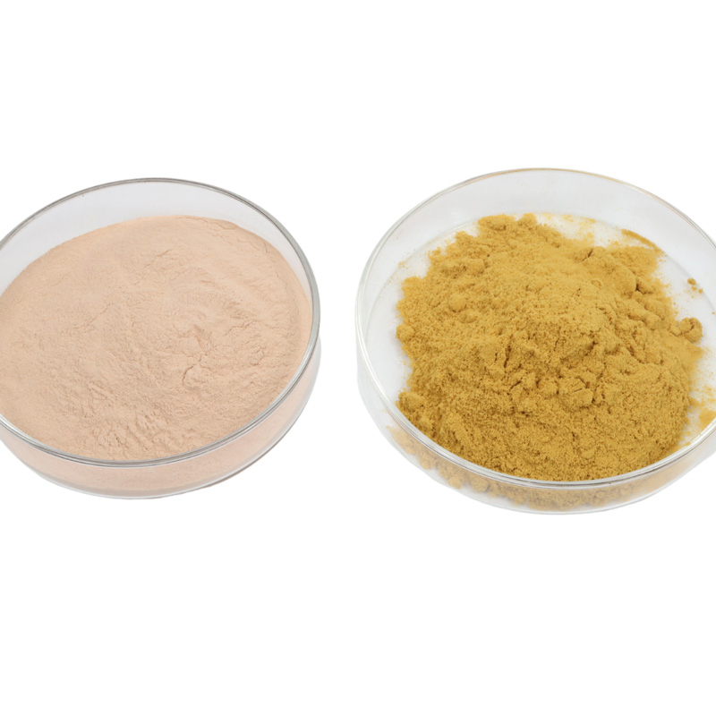 Soybean Extract Phosphatidylserine Powder CAS 51446-62-9 Nutrition Supplement Herbal Extracts