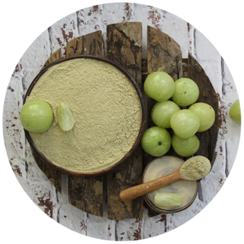 Organic Amla Powder for Joint & Bone Support