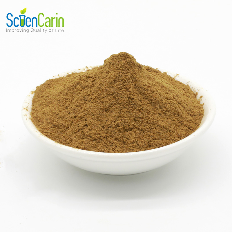 Best Price Pure Chinese Traditional Herb Patchouli Extract