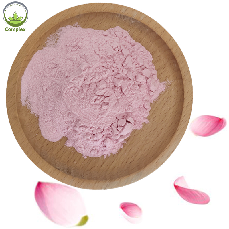 Hight Quality Drink Sakura Powder Cherry Blossom Powder Sakura Extract Powder