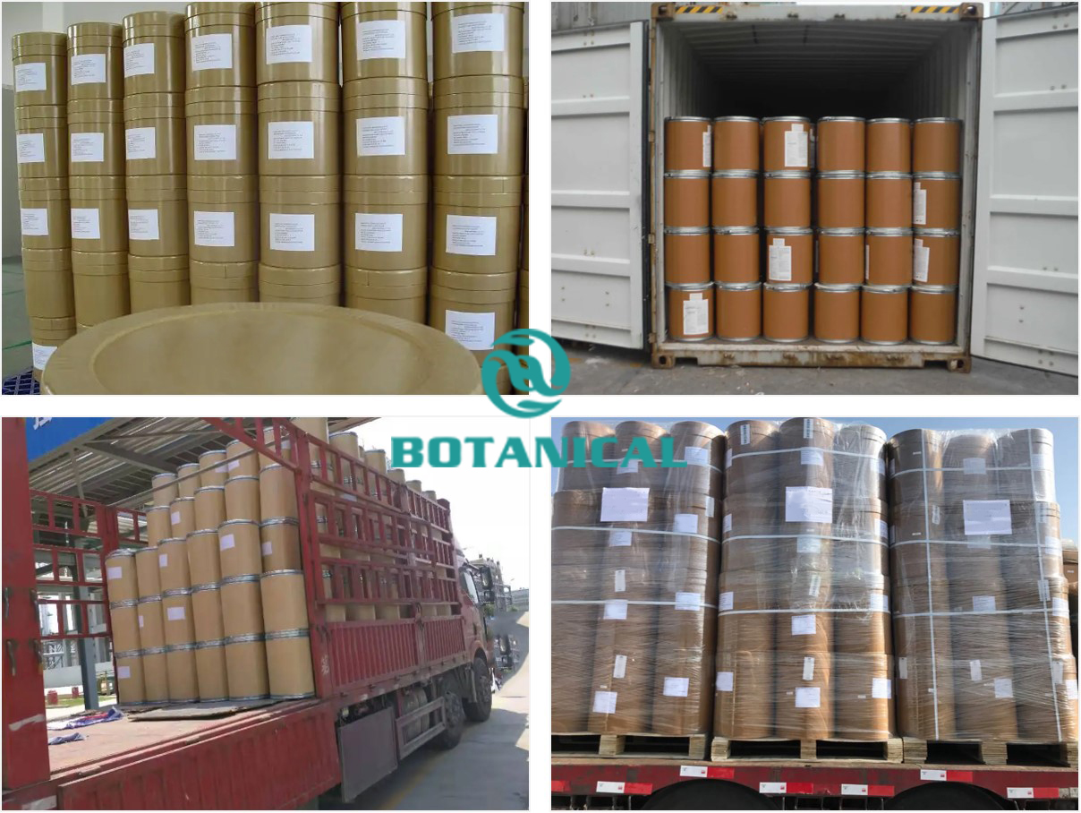 B.C.I Supply Natural Plant Extract 10:1 20:1 50:1 100:1 Radix Aucklandiae Extract Costus Root Extract Powder