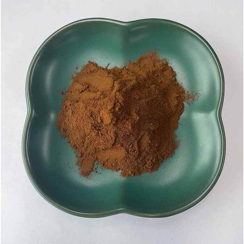 Wholesale Bulk Pure Organic Reishi Mushroom Extract Ganoderma Lucidum Powder Reishi Mushroom Extract Powder