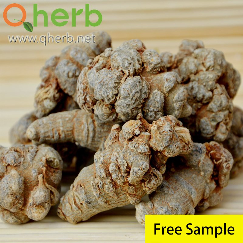 Total Ginsenosides 75% HPLC Radix Notoginseng Extract Cp2020 for Anti-Pain