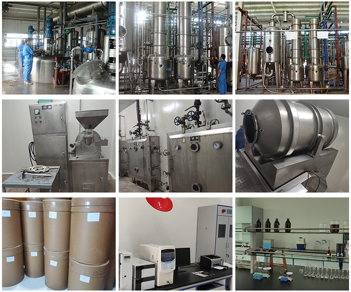 Chinese Traditional Herb 5% Eleutherococcus Senticosus Eleuthero Extract Siberian Ginseng Food Powder