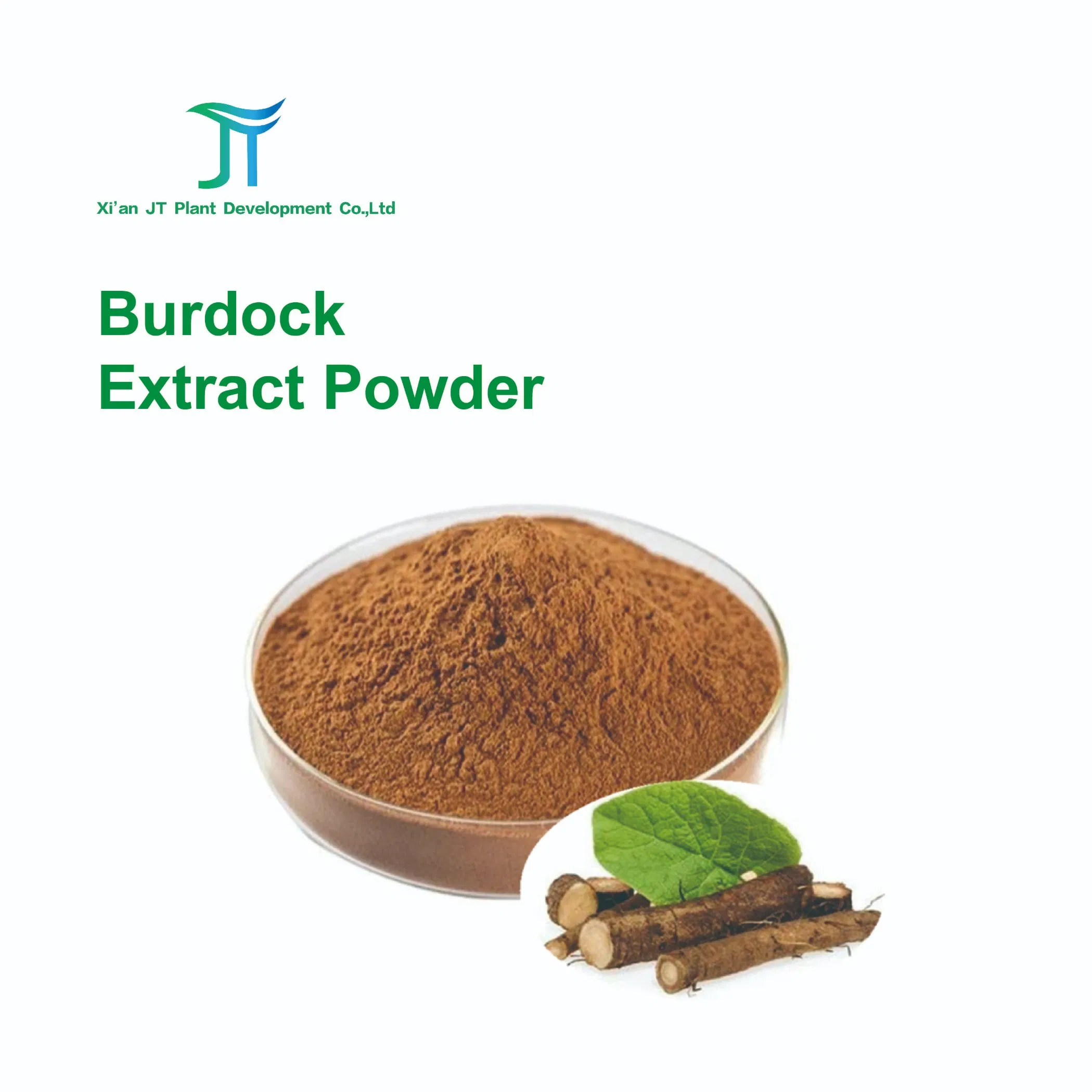 High Quality Burdock Extract Powder 100% Natural Herbal Extract Fully Water-Soluble