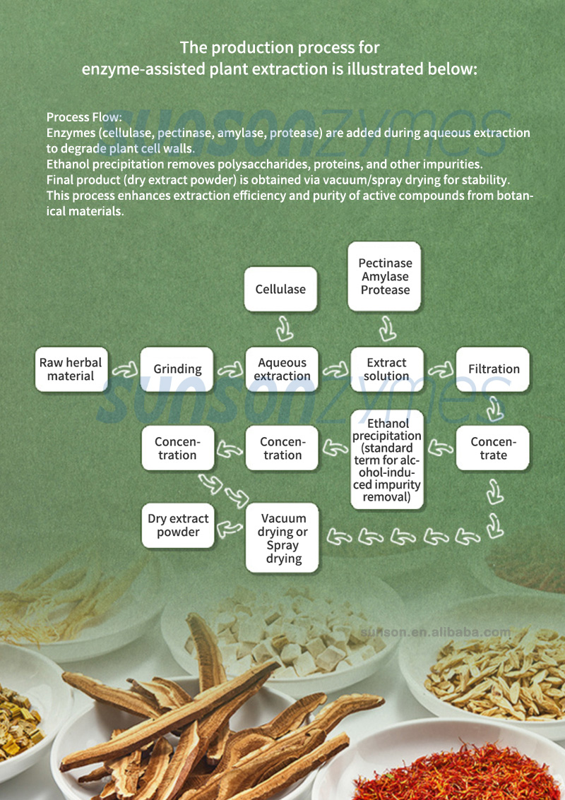 Botanical Plant Extraction Process