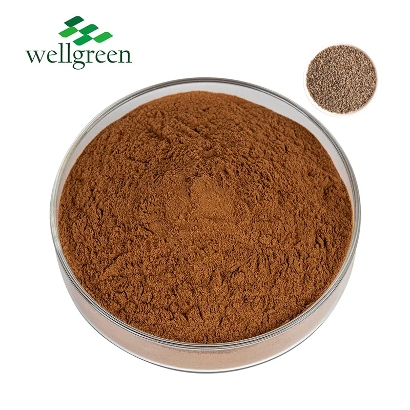 Natural Herbal Purple Perilla Frutescens Extract Water Soluble Perilla Seed Extract Powder