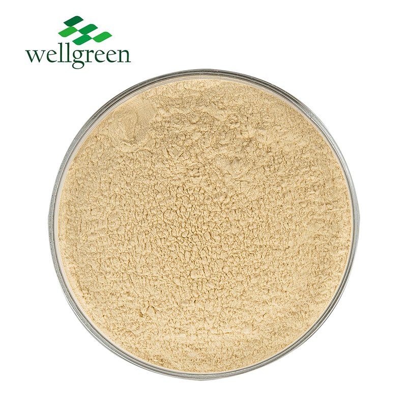 Wellgreen High Quality Panax Ginseng Root Powder 5%-80%Ginsenosides Ginseng Extract Powder