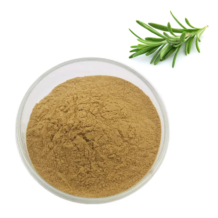 Natural Rosemary Leaves and Extract Powder