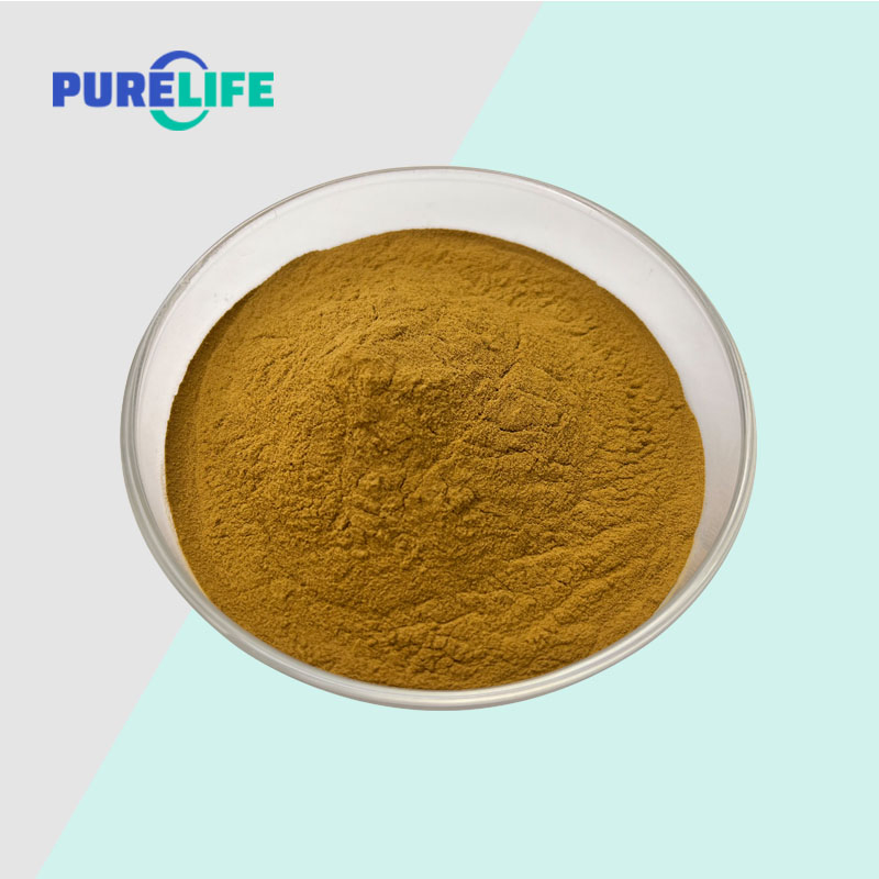 High Quality Hair Growth Serum Pure Polygonum Multiflorum Extract