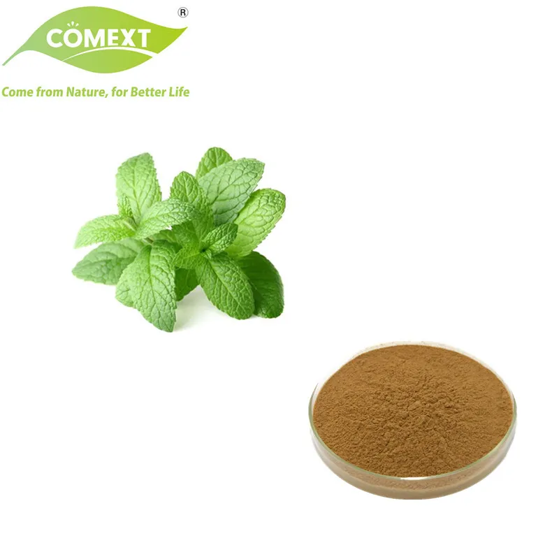 Water Soluble Dry Natural Herbal Powder Leaf 10: 1 Peppermint Extract