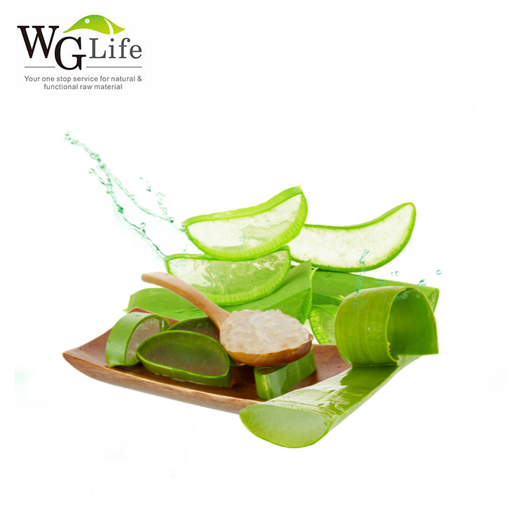 Hot Sale High Purity Aloe Vera Gel Dice Juice with Pulp Food Grade Herbal Extract Bulk for Beverage Making Packaged in Drum