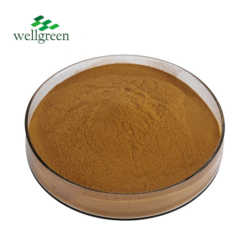 Water-Soluble Cordyceps Extract Keto-Friendly Functional Food Cordyceps Militaris Mushroom Extract
