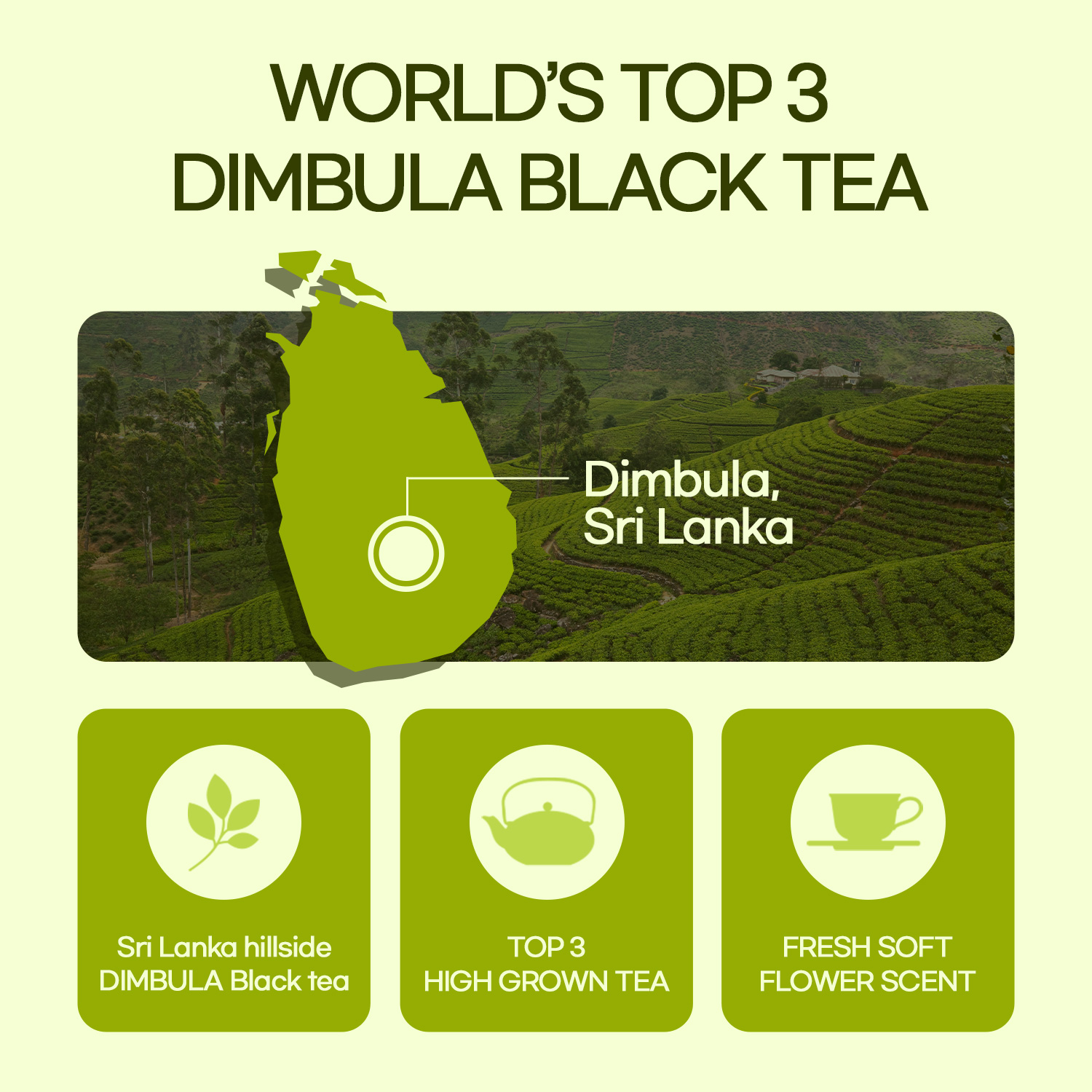 Best Selling Diet Food Funeat Real Kombucha Pineapple Flavor Detox Drink Probiotics Slimming Tea Diet Fermented Tea Yeast