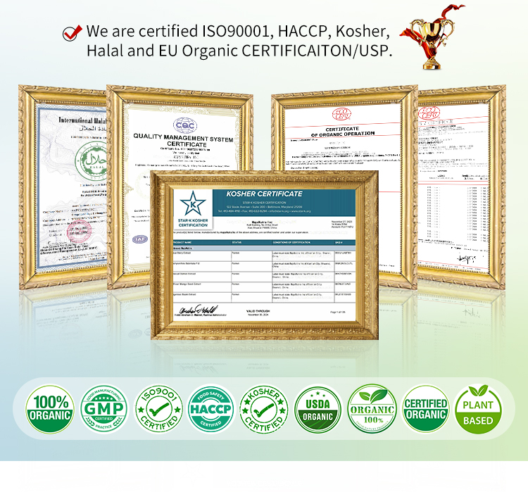 Certification Showcase 1