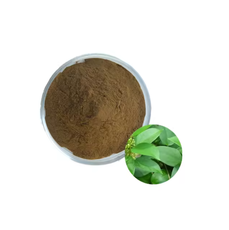Factory Supply Natural Herbal Extract Gymnema Sylvestre Leaf Extract Powder 25%-75% Gymnemic Acids