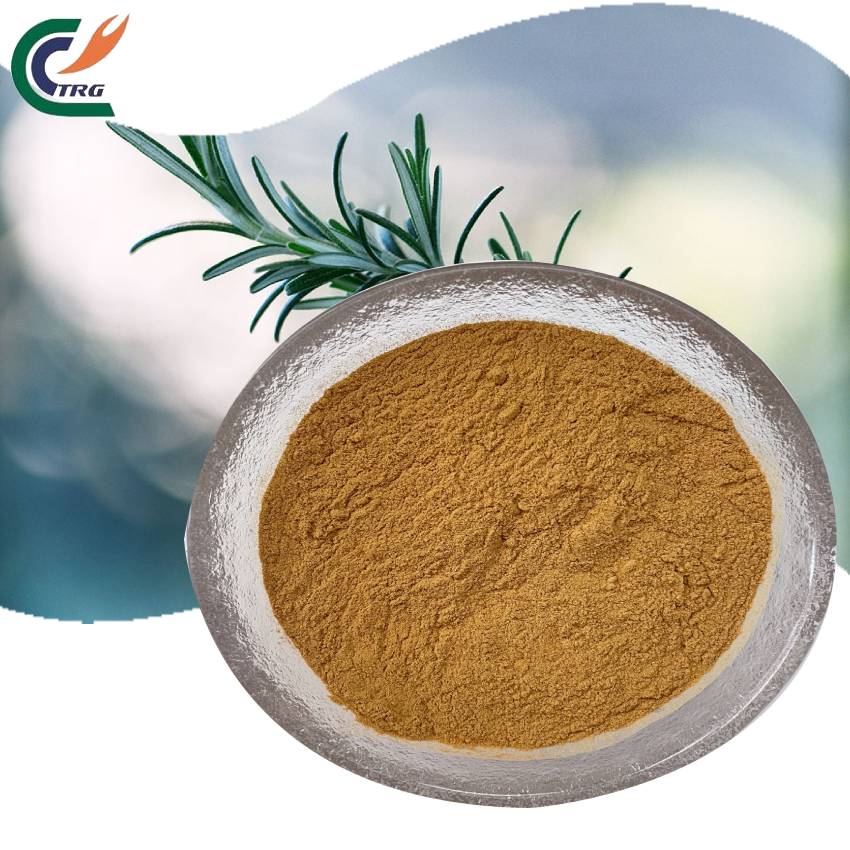 Rosemary Extract Powder Product View 3