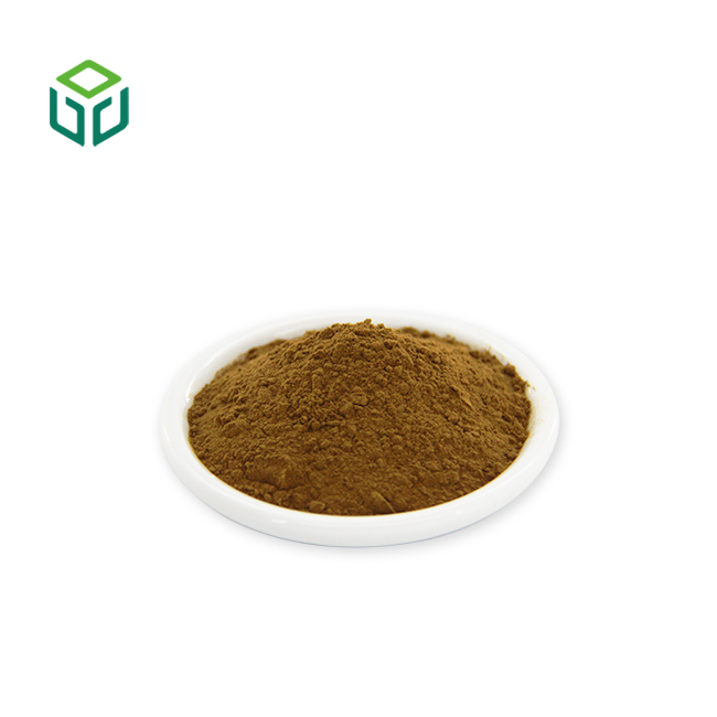 Manufacturers Supply Pure Natural Food Grade Organic Certified Herbal Extract Powder Cactus Extract Opuntia Ficus-indica Bottle