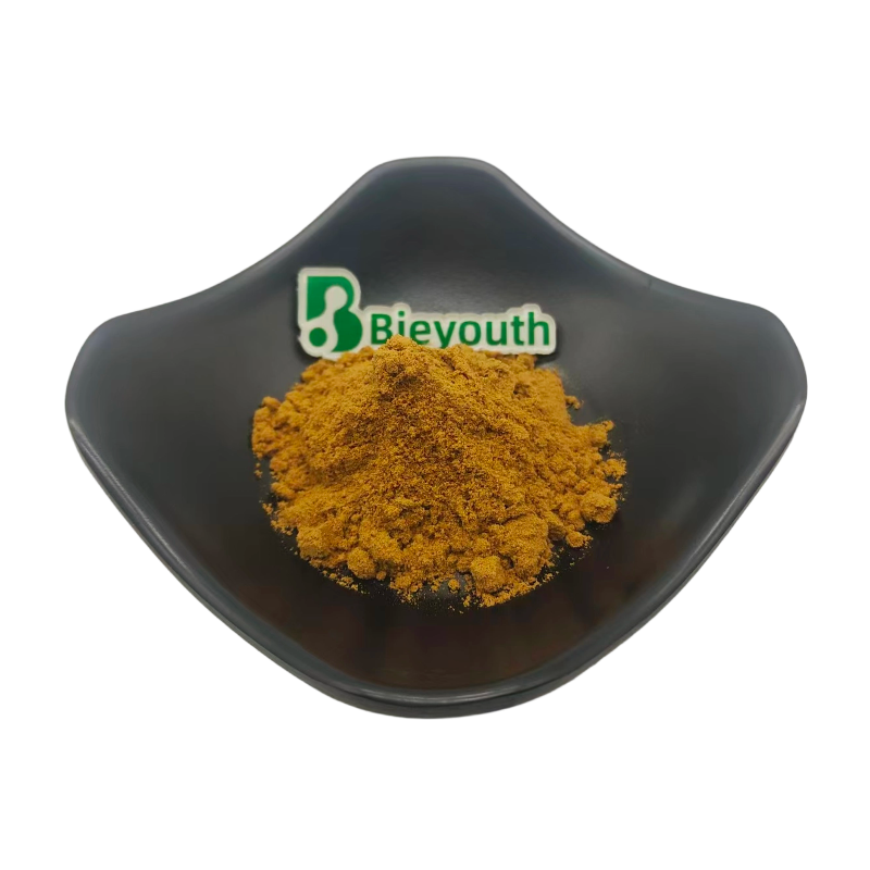 Angelica Pubescens Extract High Quality Traditional Chinese Herb Du Huo Extract for Anti-Inflammatory &amp; Joint Comfort Support