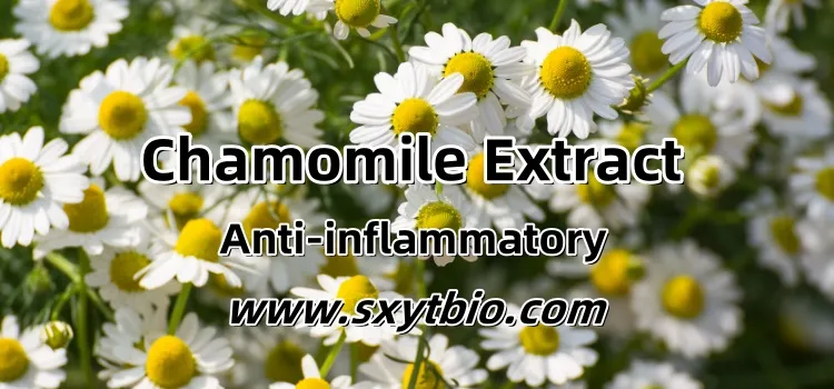 Chamomile Extract CAS 89957-99-3 Natural Herbal Hair Care Raw Material