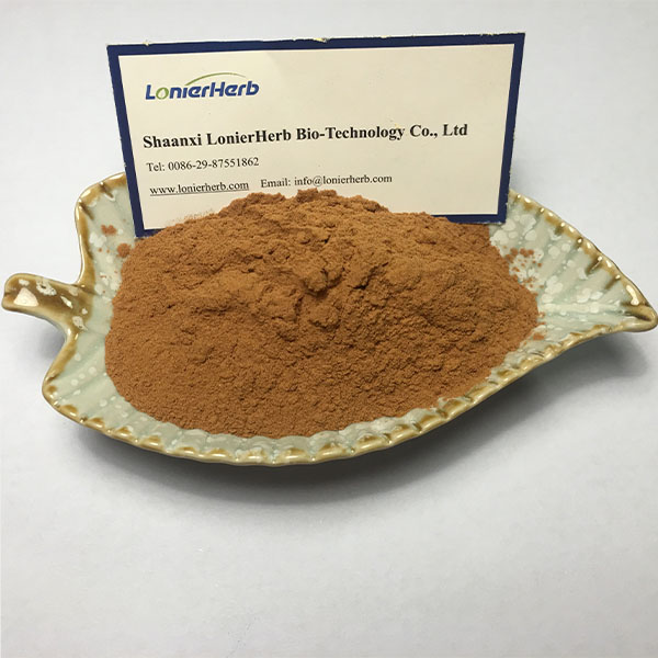 High Quality Pure Natural Herbal Extract 10:1 Grindelia Robusta Extract Powder