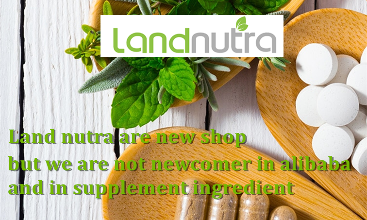 Wholesale Bulk Pure Organic Reishi Mushroom Extract Ganoderma Lucidum Powder Reishi Mushroom Extract Powder