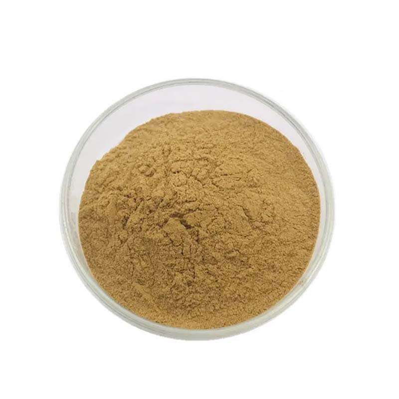 Organic Plant Extract Rosemary 5% 10% Carnosic Acid 3650-09-7 Water Soluble Rosemary Extract