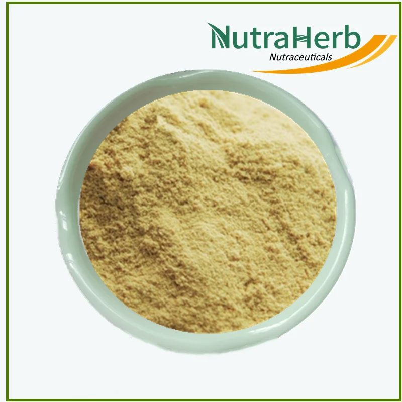 Natural Organic Camellia Saponin Powder 60% 90% Tea Seed Powder Saponin Extract