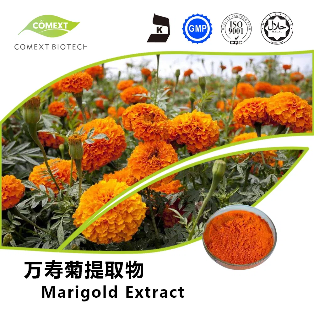 Herbal Extract Food Grade Zeaxanthin Water Soluble Lutein 5%-80% Phytoxanthin Extract Marigold Extract