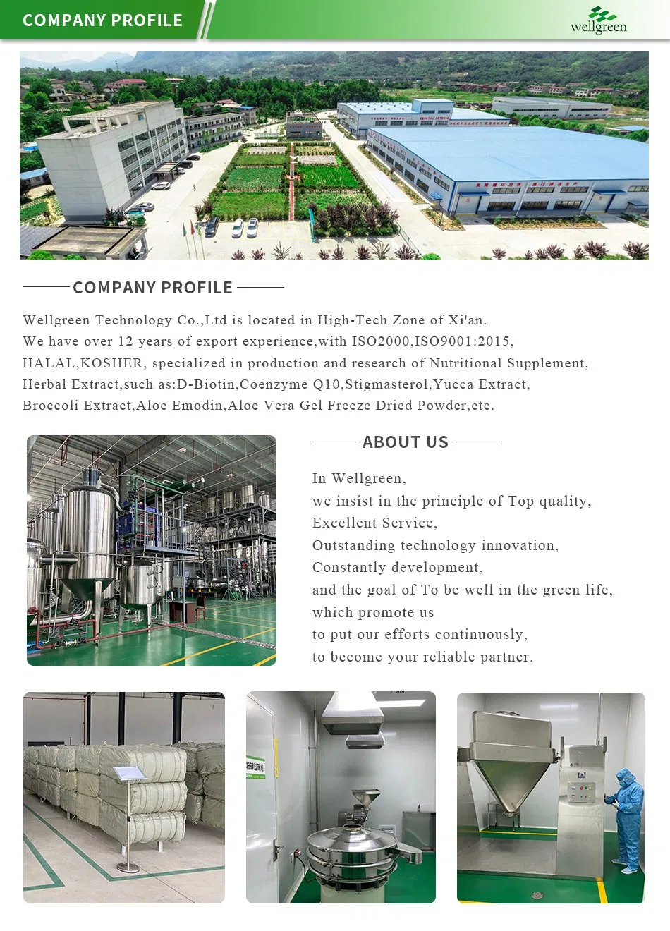 Ginseng Extract Powder Processing