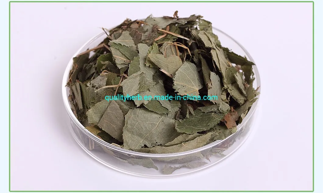 Nutrition Supplement 20% Horny Goat Extract Epimedium Extract