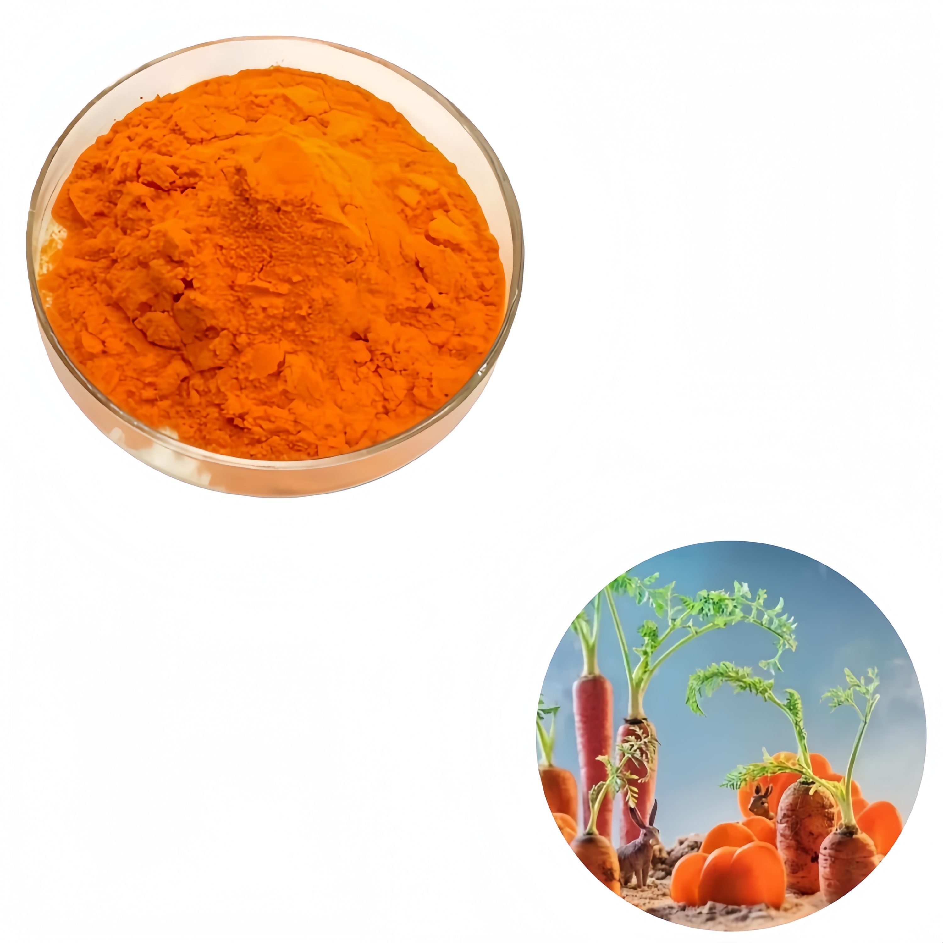 Food Grade Organic Carrot Juice Powder Orange Herbal Extract