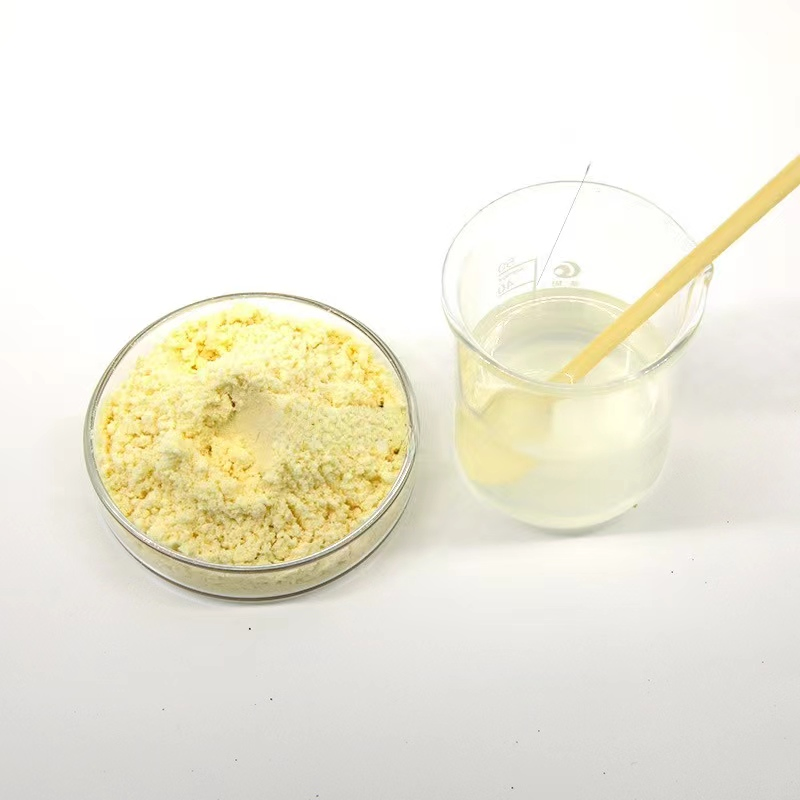 High Quality Chinese Herbal Extract Dried Ginger Extract