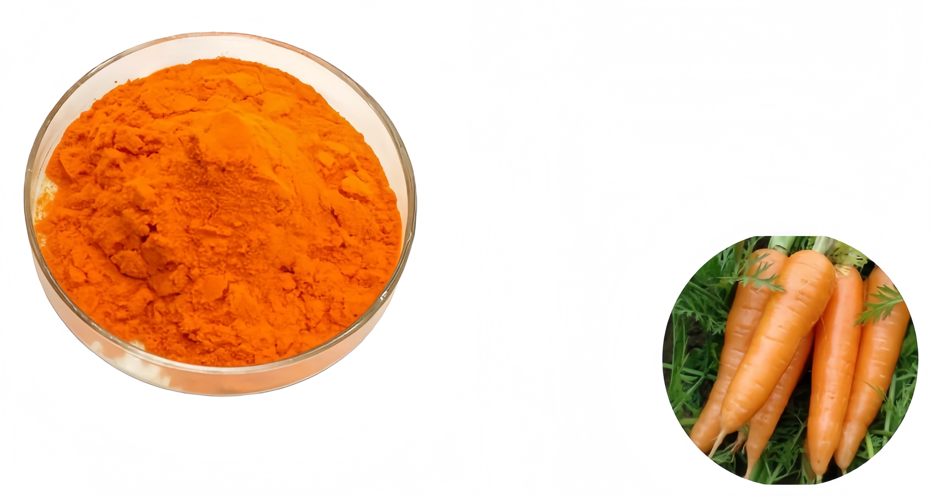 Organic Carrot Powder
