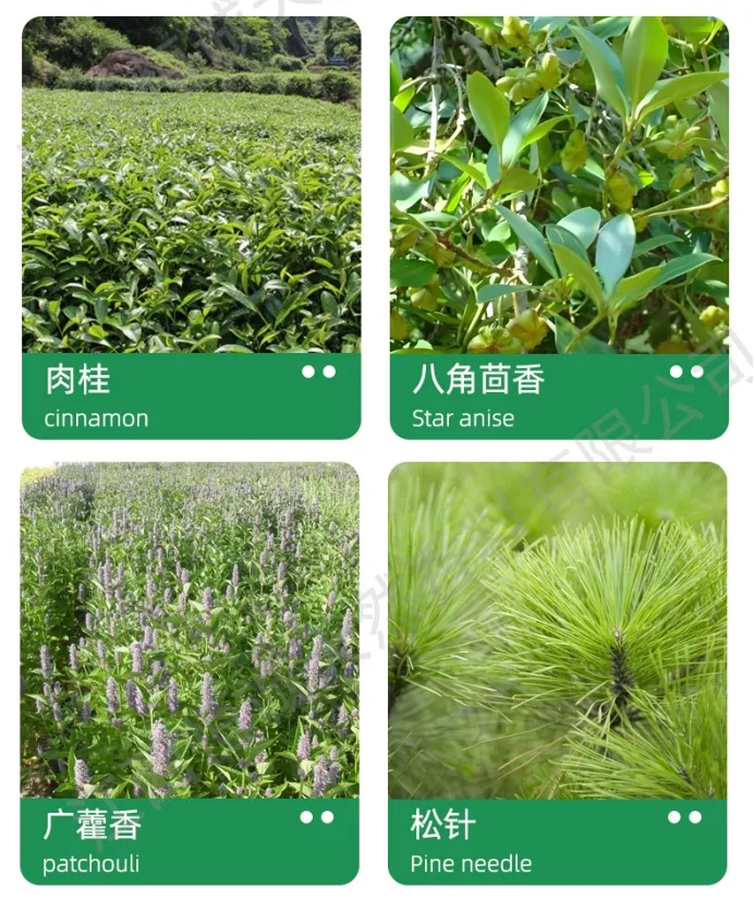 Herbal Extract Health Food Raw Materials Purslane Herbs Extract Powder