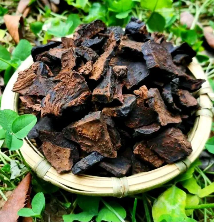 Fleeceflower Root Extract Application in Hair Care and Skincare