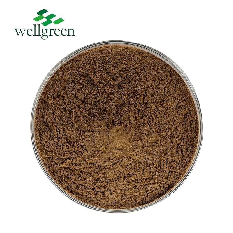 Powdered Water Soluble Black Garlic Extract for Dietary Supplements &amp; Nutritious Foods with Rich Sac &amp; Antioxidants (Factory Supply)