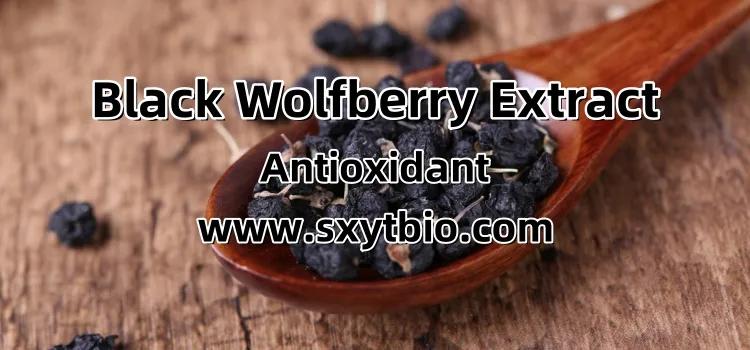 Black Wolfberry Extract CAS 90106-40-4 Natural Hair Care Raw Material