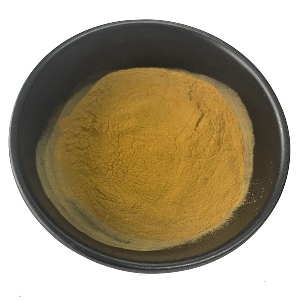 Chinese Herb Chinese Angelica Root Extract/ Dong Quai Extract Powder