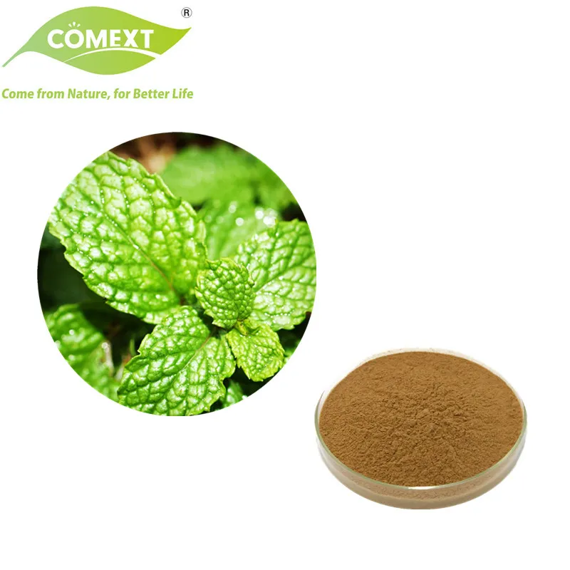Water Soluble Dry Natural Herbal Powder Leaf 10: 1 Peppermint Extract