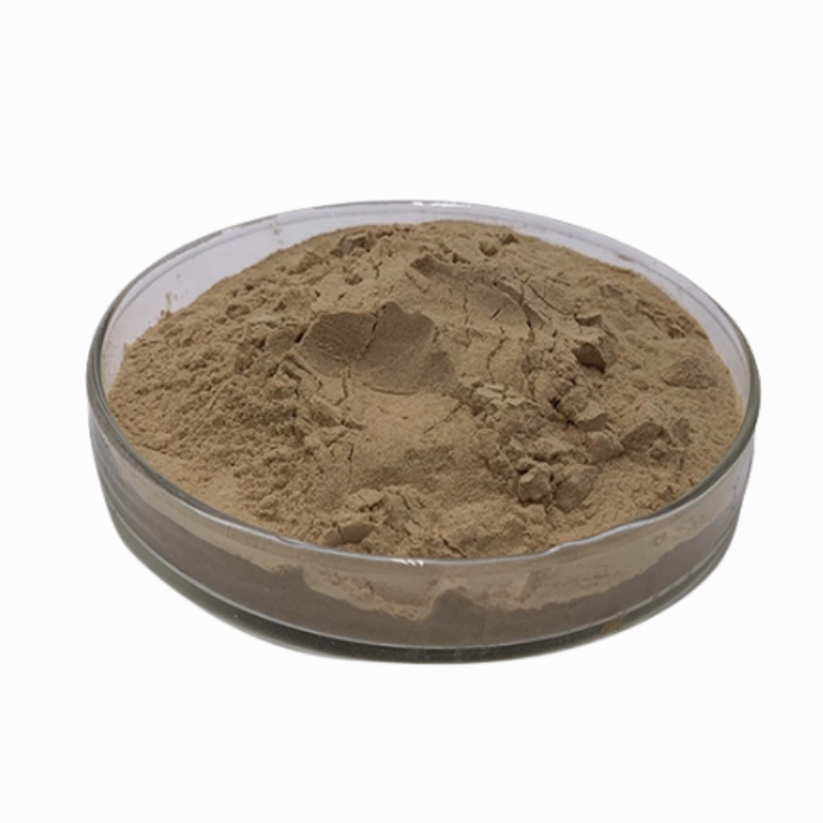 Siberian Ginseng Extract Powder