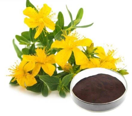 Marine Genesis Bio-Tech Hot Sale Wild Organic St. John's Wort Herbal Extract Powder 0.3% Hypericin Vacuum Packed Drum